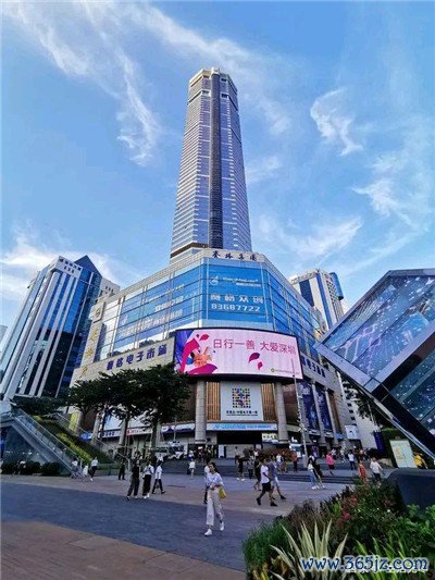 最新的发展和进展 最新的发展和进展
